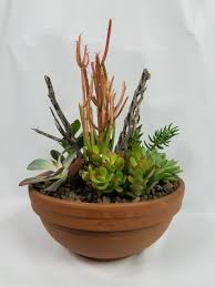 4 hour hand delivery + 20% off! Arizona Succulents By Flowers With Flair