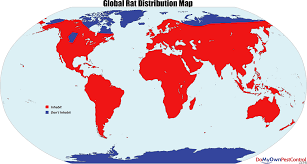 Formation adjective comparative superlative general rule (short words) long smart old tall longer smarter older taller longest smartest oldest tallest nice nicer nicest ending in short vowel + consonant: All About Rats