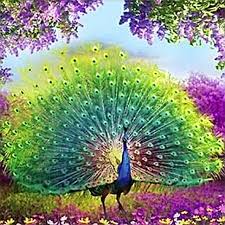 images?q=tbn:ANd9GcQPuqqqd2UZtgQ46hluLYd