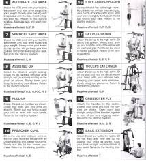 69 Bright Weider Pro Exercise Chart