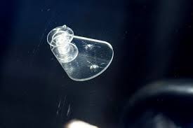 Maybe you would like to learn more about one of these? Auto Glass Repair Esautomotive