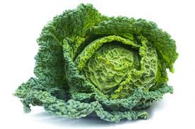 Image result for hlávková kapusta