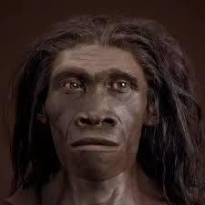 Why did humans evolve flat faces, when most other earlier simians have  elongated mandibles and very deep-set eyes?