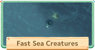 Animal Crossing Fast Sea Creatures How To Catch List Acnh Gamewith