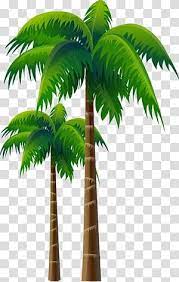 Arecaceae Coconut Tree Woody Plant Palms Transparent Background Png Clipart Potted Palm Trees Palm Plant Palm Tree Sticker