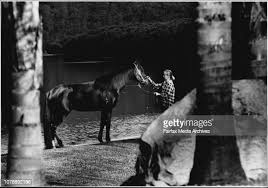 100 Bob Wiseman Stock Photos, High-Res Pictures, and Images