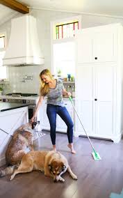Apr 13, 2018 · keep a house clean with pets. How To Keep Your House Clean With Pets The Handmade Home