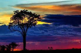 Resultado De Imagen Para Cielo Amarillo Azul Y Rojo Scenery Beautiful Nature South America Destinations