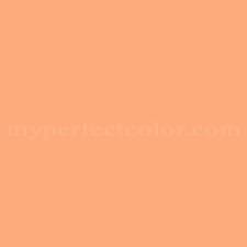 Learn more about pantone colors in we'll start with the pantone definition: Pantone 14 1135 Tpg Salmon Buff Precisely Matched For Spray Paint And Touch Up