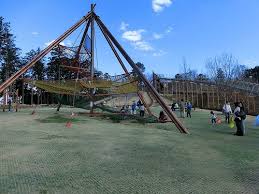 大型遊具がたくさん 小田原こどもの森公園わんぱくらんど 関東神奈川県小田原 関東東京遊び場日帰りドライブマップ 家族子供のお出かけスポット 遊び場 遊び場のデザイン 公園