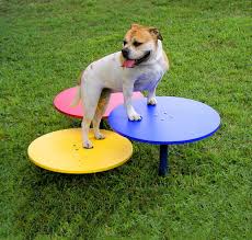 Dog Agility Equipment Dog Agility Training Equipment Dog Agility Course Equipment Dog Playground Dog Training Agility Training For Dogs