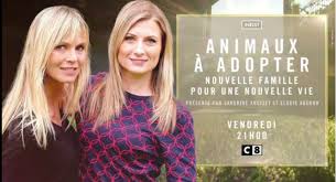 Recherche de stupéfiants, de cambrioleurs ou encore de personnes disparues, chaque chien a sa spécialité. Ce Soir A 21h Sur C8 Prime Les Animaux De La 8 Facebook