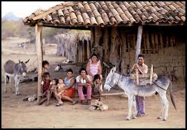 Resultado de imagem para IMAGENS DO SERTÃO