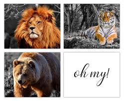 Detroit lions home games are played at ford field located in downtown detroit, mich. Amazon Com Lions And Tigers And Bears Oh My Wall Art Print Unique Room Decor For Boys Men Girls Women 8x10 Unframed Picture Great Gift Idea For The Wizard Of