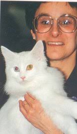 Pictures of Maine Coon Cat Breeders