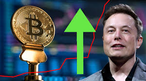 A mixed start to the day saw ripple's xrp rise to an early morning high $0.57342 before falling to a low $0.56472. Elon Musk Buys Bitcoin And Xrp Is Next For Wsb Pump The Chain