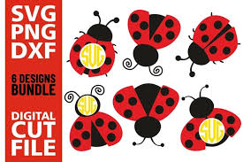 Download 6x Ladybug Bundle Svg Insect Ladybug Monogram Silhouette 352920 Cut Files Design Bundles