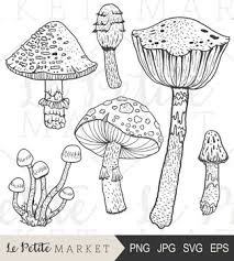 In our adult coloring pages, you will find images that include nature such as flowers, butterflies, animals, abstract shapes and patterns that fill a whole page, religious iconography such as the buddha, jesus and spiritual images of native people around the world. Fungi Coloring Sheet Worksheets Teaching Resources Tpt