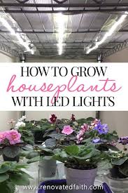 How To Grow Plants With Led Lights African Violet Light Stand In 2020 Grow Lights For Plants Plants House Plants Indoor
