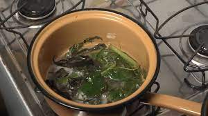 Oficina Ensina A Grupo De Idosos A Receita De Uma Pomada Milagrosa Programa Terra Sul Youtube Dicas De Saude Alimentacao E Saude Chantilly Caseiro