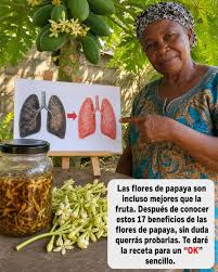 La flor de papaya es incluso mejor que la fruta. Después de descubrir sus  17 beneficios, seguro que querrás probarla ya mismo. Para seguir recibiendo  mis recetas, solo tienes que decirlo… ¡Gracias!