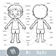 The body parts can be divided into two categories: Cartoon Visual Dictionary For Children About The Human Body Royalty Free Cliparts Vectors And Stock Illustration Image 94695627