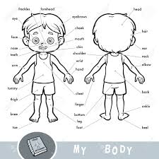 They are large flashcards for teachers to hold at the front of the class or to display on the board. Cartoon Visual Dictionary For Children About The Human Body Royalty Free Cliparts Vectors And Stock Illustration Image 94695627