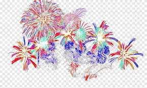 Paysage d'été musical tous les enfants sont assis en cercle. Illustration De Feux D Artifice De Couleurs Assorties Feux D Artifice Nature Feu Png Pngegg