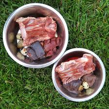 Raw Feeding Guidance Detailed Safety Information Raw Feeding Tips Raw Dog Food Diet Raw Dog Food Recipes Dog Food Recipes