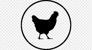 Exklusive produkte aus der rhode island kollektion jetzt bei mybestbrands! Rhode Island Red Plymouth Rock Chicken Rooster Hen Barbecue Chicken Chicken Farm Logo Chicken Galliformes Png Pngwing