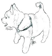 Free alaskan husky animal printable coloring pages download. Cute Husky Puppy Baby Dog Cute Dog Coloring Pages Novocom Top
