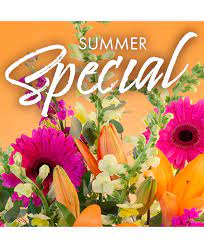 You can explore by location, what's popular, our top picks, free stuff. Summer Special Weekly Deal In Erie Pa Gary S Flower Shoppe