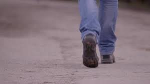 Download Free Stock Video Footage Featuring Legs Walking On Path Click Here To Download Royalty Free Licensing Vide Free Stock Video Video Footage Audio Sound