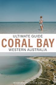 Ultimate Guide To Coral Bay Western Australia In 2020 Western Australia Travel Western Australia Australia Travel Guide