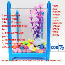 Harga tersebut masuk dalam kategori yang murah, mengingat banyak ikan yang dibanderol dengan harga ratusan ribu hingga jutaan rupiah. 1 Set Aquarium Aklirik Mica 15x10x10 Aquarium Cupang Dan Ikan Hias Kecil Tipe Batu Warna Shopee Indonesia