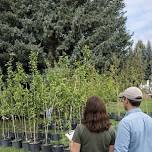 Arbor Day Event