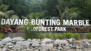 We did not find results for: Sejarah Danau Dayang Bunting Foto Pulau Dayang Bunting Langkawi Tripadvisor