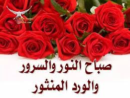 pin by maria trifhat on صباح الخير flowers rose plants