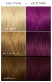 Arctic Fox Hair Color Violet Dream Purple Semi Permanent