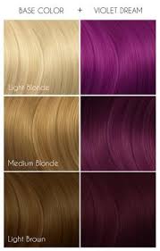 arctic fox hair color violet dream purple semi permanent