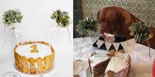 The meaty varieties are like meatloaves, but with only dog friendly ingredients. Dogs Birthday Cakes Tarte De Fleurs Shop Bithday Cake Essex