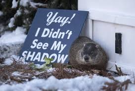 Did The Groundhog See His Shadow?: Fact, Historical - Careerguide
