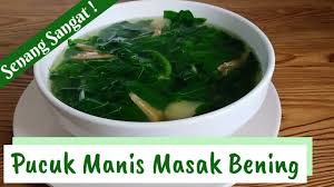 You can streaming and download for free here! Resepi Sayur Pucuk Manis Masak Bening Mudah Sedap How To Cook Sweet Leaf Easy But Delicious Youtube