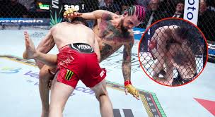 Merab Dvalishvili branded 'weird' by Dana White as he 'kisses' Sean  O'Malley during fight