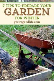 7 Tips To Prepare Your Vegetable Garden For Winter Vegetable Garden For Beginners Vegetable Garden Beds Fall Garden Preparation
