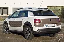 Cacti vs succulents the main problem that plants growing in dry and hot environments face is the excessive water loss due to transpiration. Citroen C4 Cactus Wikipedia