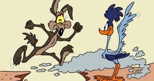 Image result for wile e coyote