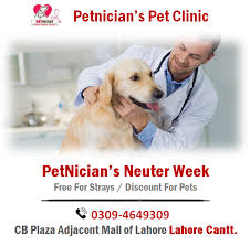 Pet care hospital johar town. The Cat Hospital Lahore Al Hamra Town Lahore Lahore 2021
