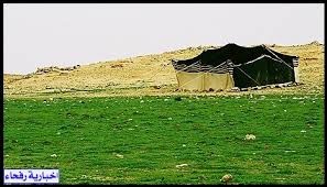 #ربيع_عرعر_1440 الديدحان يزين #ربيع_الحدود_الشماليه1440 الموقع شمال هجرة البكر ( الأبيض ) تصوير أمس الجمعةpic.twitter.com/tisjntr7tv. Ø¨Ø§Ù„ØµÙˆØ± Ø¹Ø¯Ø³Ø© Ø¥Ø®Ø¨Ø§Ø±ÙŠØ© Ø±ÙØ­Ø§Ø¡ ØªØ±ØµØ¯ Ø¨Ø§Ù„ØµÙˆØ± Ø±Ø¨ÙŠØ¹ Ù‡Ø¬Ø±Ø© Ù„ÙˆÙ‚Ø© Ùˆ ÙÙŠØ§Ø¶ ØºØ±Ø¨ Ø±ÙØ­Ø§Ø¡ Ø§Ù„Ø®Ø¶Ø±Ø§Ø¡ Ø§Ù„Ø­Ø¯ÙˆØ¯ Ø§Ù„Ø´Ù…Ø§Ù„ÙŠØ© Ø±ÙØ­Ø§Ø¡ Ø¹Ø±Ø¹Ø± Ø·Ø±ÙŠÙ Ø§Ù„Ø¹ÙˆÙŠÙ‚ÙŠÙ„Ø©