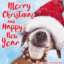 Family pet health center facebook. Family Pet Health Center Home Facebook